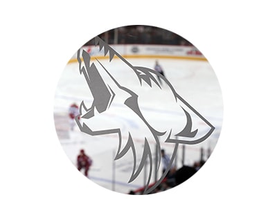 Arizona Coyotes Home + Away Games, Travel and Golf with Coyotes Players