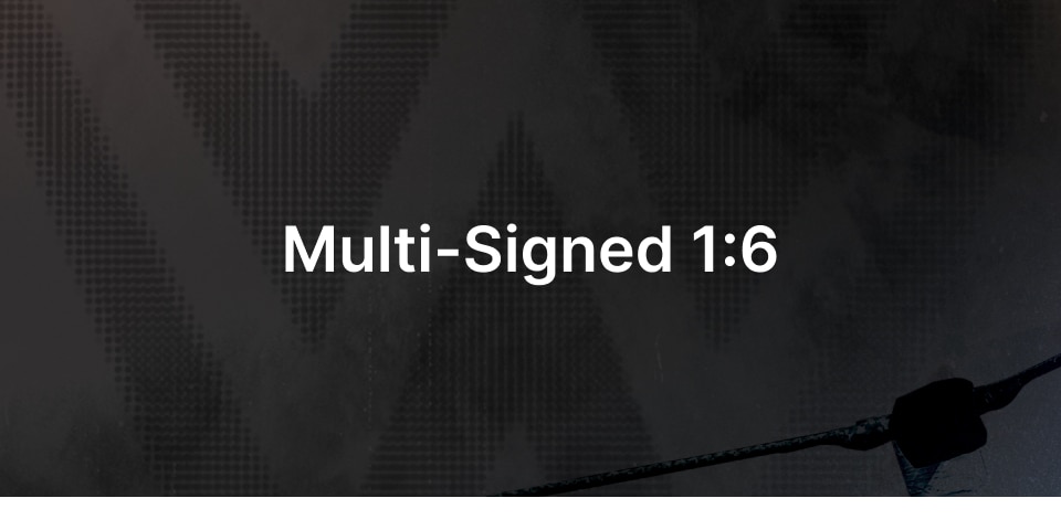 Multi-Signed 1:6
