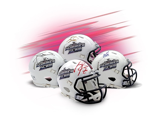 2025 UNDER WRAPS Summer Minis
