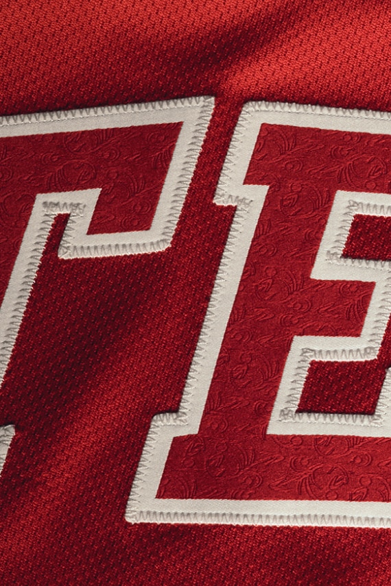Tejas Chest Logo