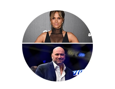 Ultimate UFC VIP Experience