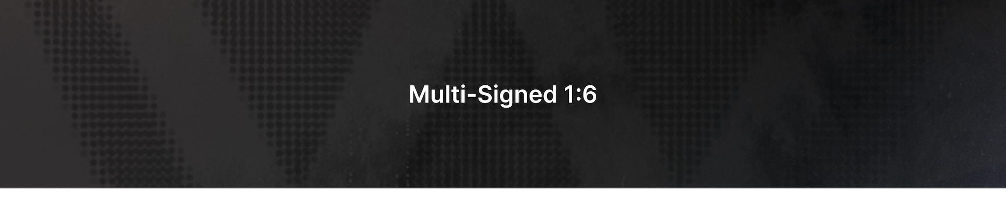 Multi-Signed 1:6